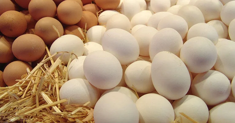 Yumurta salmonella xəstəliyi yaydı TƏHLÜKƏ