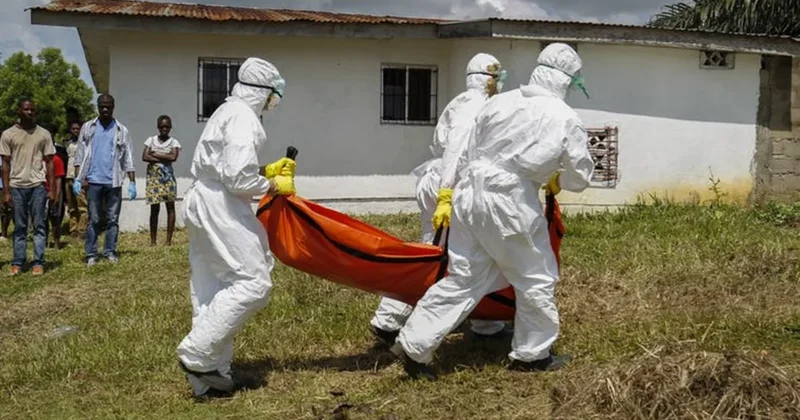 WP: Konqodakı son epidemiya tarixdə ən böyük ebola epidemiyası ola bilər