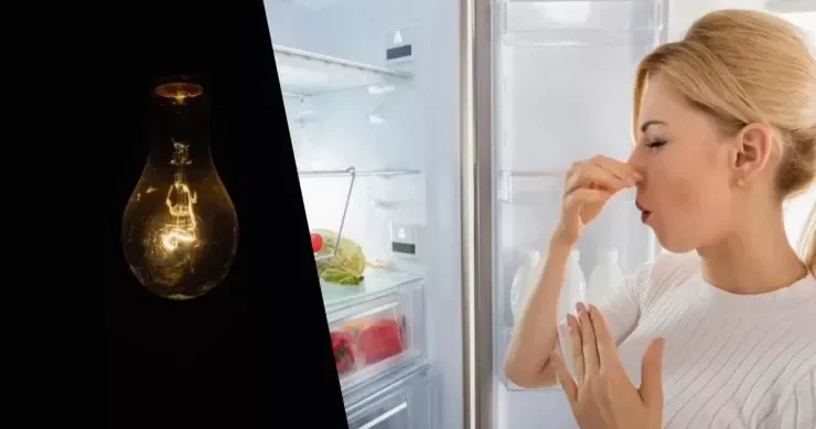 İşıq sönəndə soyuducu neçə saat soyuq qalır?