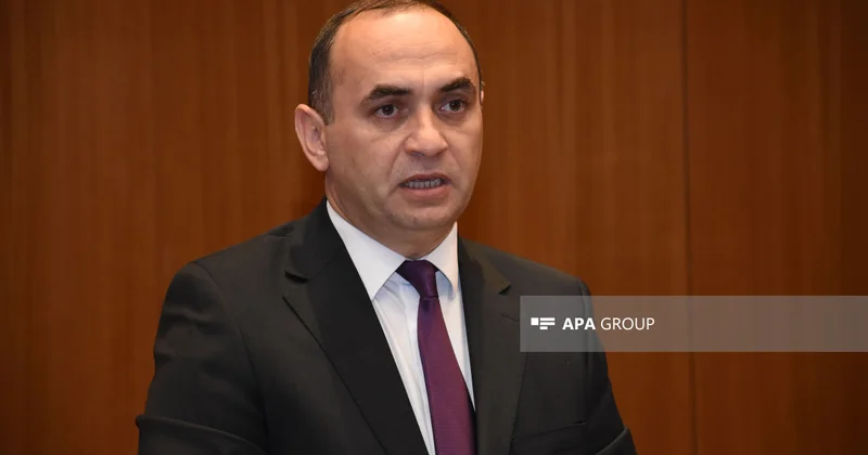 Deputat: Qanunlarda əlilliyi olan ifadəsini mərhələli şəkildə çıxarmalıyıq