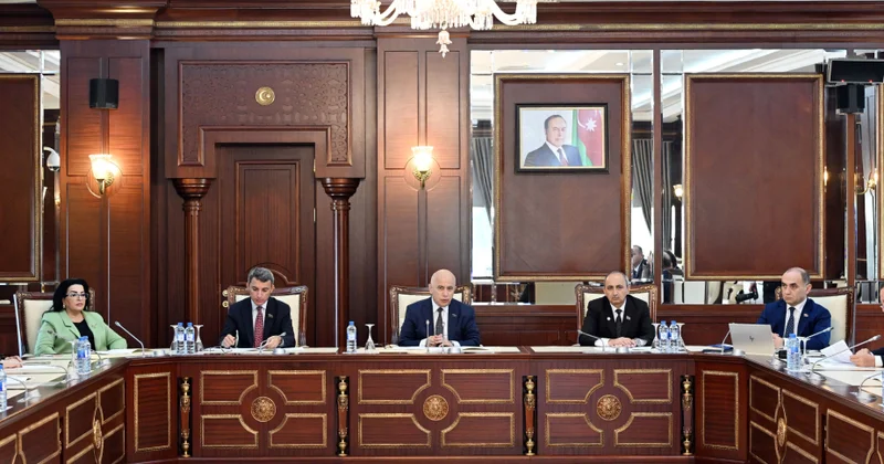 Elm və təhsil komitəsində “Valideynlərini itirmiş” termininin qanunvericilikdən çıxarılması dəstəklənib