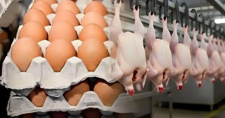 Мурват Гасанли: В Азербайджане не зафиксировано значительного повышения цен на птичье мясо и яйца