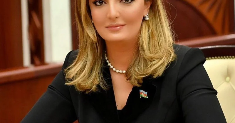 Azərbaycanın sülh gündəliyi BMT də də böyük rəğbətlə qarşılandı