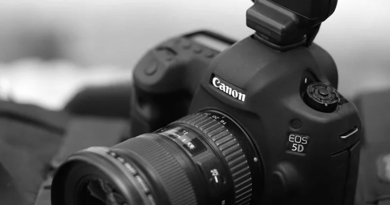 Şadlıq saraylarının qapalı qanunları Fotoqraflar niyə kənarda qalır?
