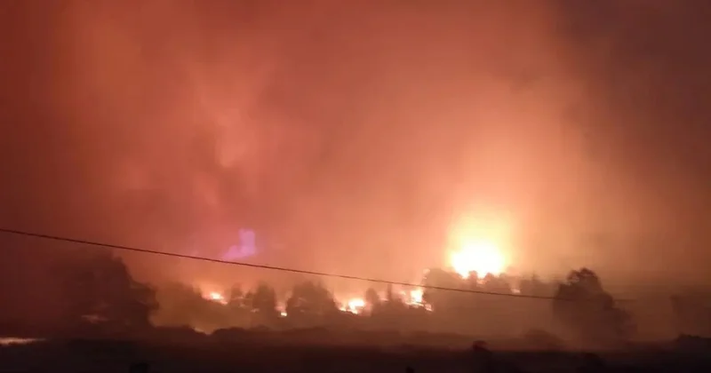 В Турции в ещё одном районе начался лесной пожар