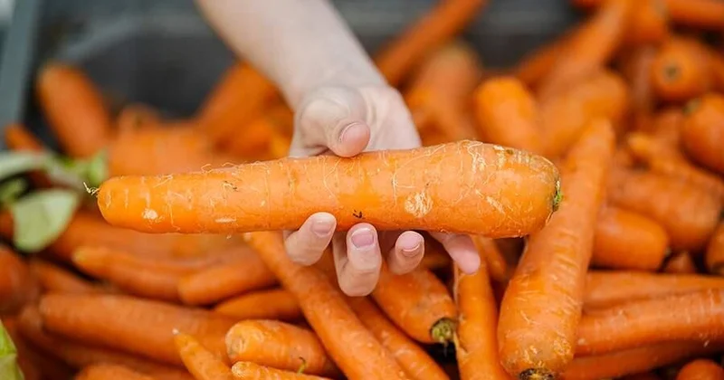 Врач назвала повышающие гемоглобин продукты