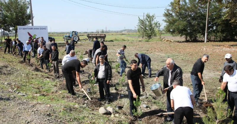 Bərdədə keçirilən aksiyada 500 ədəd Eldar şamı əkilib