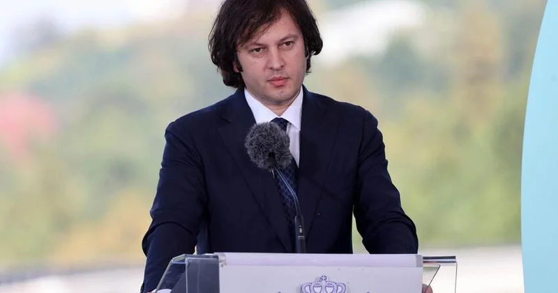 Kobaxidze: Gürcüstanda qütbləşmə dərəcəsini azaltmışıq