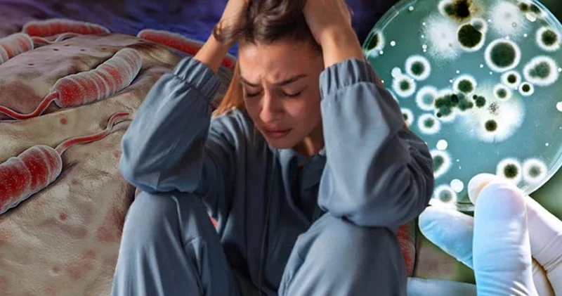 Səssiz epidemiya həyəcanı: 5 ildə 460 faiz artıb, sürətlə yayılır və ölümcül olur