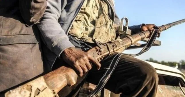 Boko Haram Kamerunda kəndə hücum etdi 4 nəfər həlak oldu