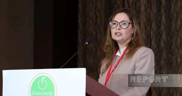 Эксперт UNEC: Водородная экономика ключ к устойчивому развитию Азербайджана