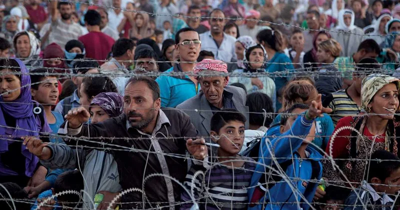7 azərbaycanlı Suriyadan vətənə gətirildi