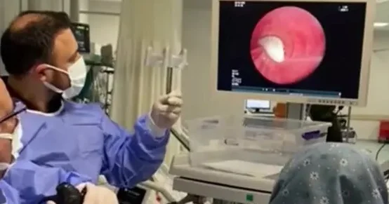 Təhlükəli virus yayıldı Bu heyvandan insanlara keçir