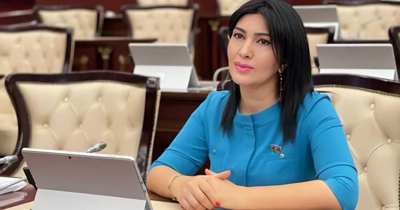 Azərbaycanda himayədar ailə institutu genişləndirilməlidir Deputat
