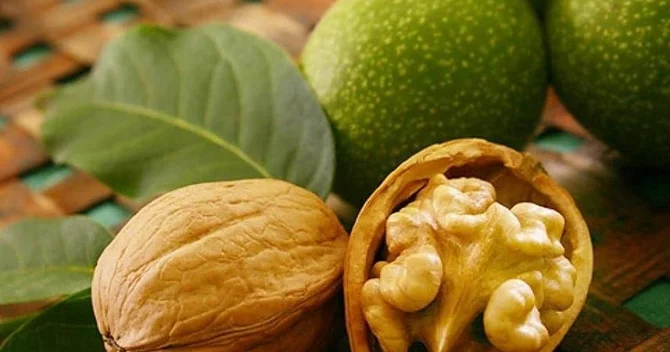 Payızın təbii dərmanı sayılan təzə qozun faydaları Gündə nə qədər yemək olar?