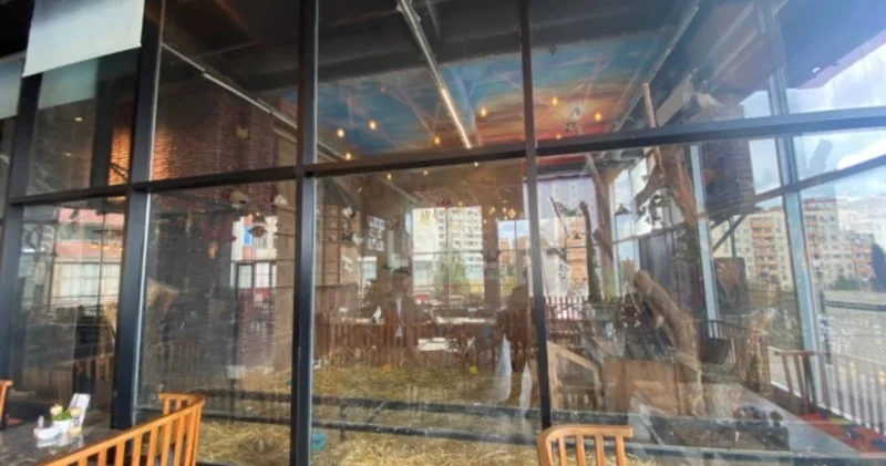 Vəhşi heyvanların qanunsuz saxlanıldığı daha bir restorana xəbərdarlıq edilib