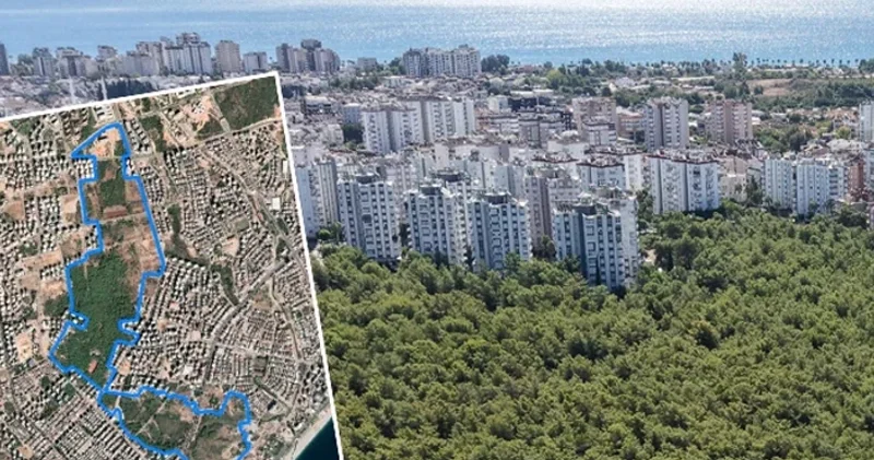 1970 ci ildən davam edən miras mübahisəsi 55 ildir bitməyən mübarizə
