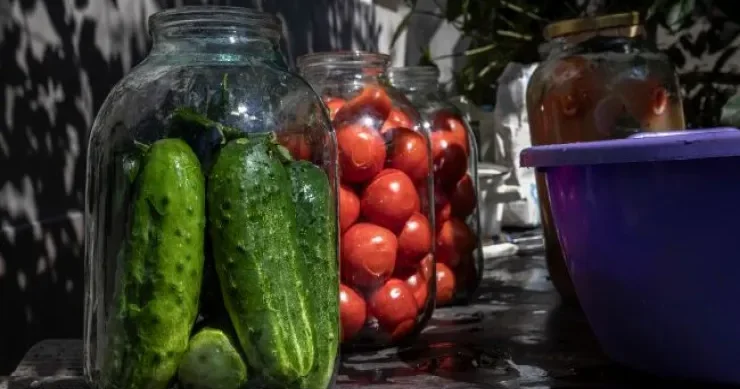 Hansı bankalar konservasiya üçün yararsızdır?