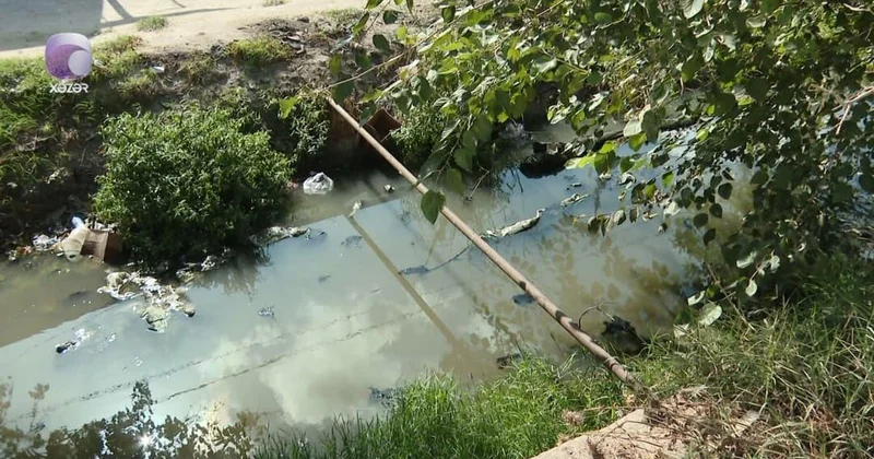 Bu dəfə kanalın bağlanmasını istəyirlər (Video)