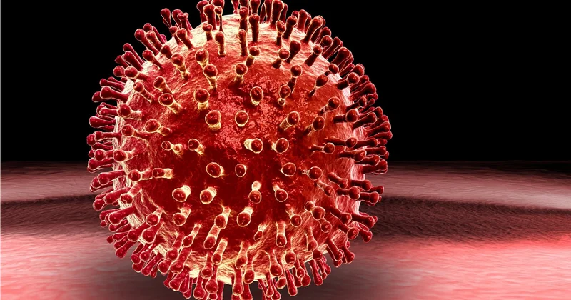 Ukraynada virus həyəcanı: Sürətlə naməlum infeksiya yayılır
