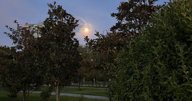 Anım gününə olan hava proqnozu