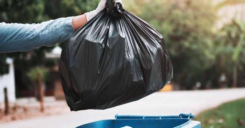 Zibilxanaya atdığımız yemək niyə iqlim probleminə çevrilir?