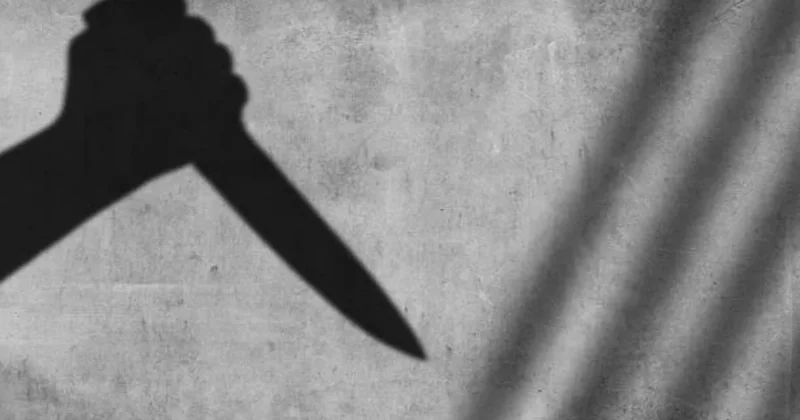 78 yaşlı baba nəvəsinin sevgilisini çarpayının altında tutdu, 30 bıçaq zərbəsi vurdu