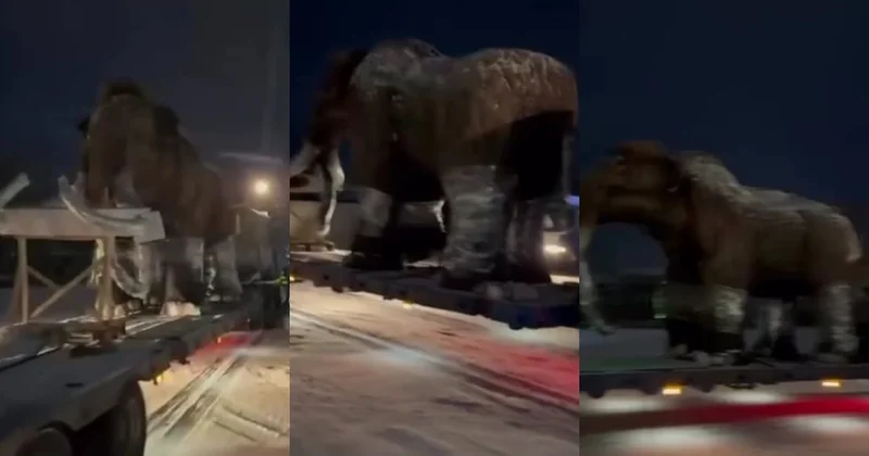 10 min il əvvəl yaşamış mamont İrkutskda peyda oldu