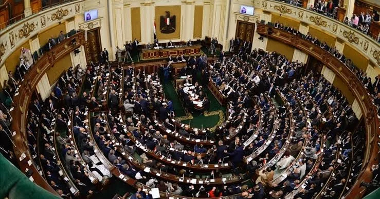 Misir parlamenti Səudiyyə Ərəbistanına hərbi dəstəyi təsdiqlədi