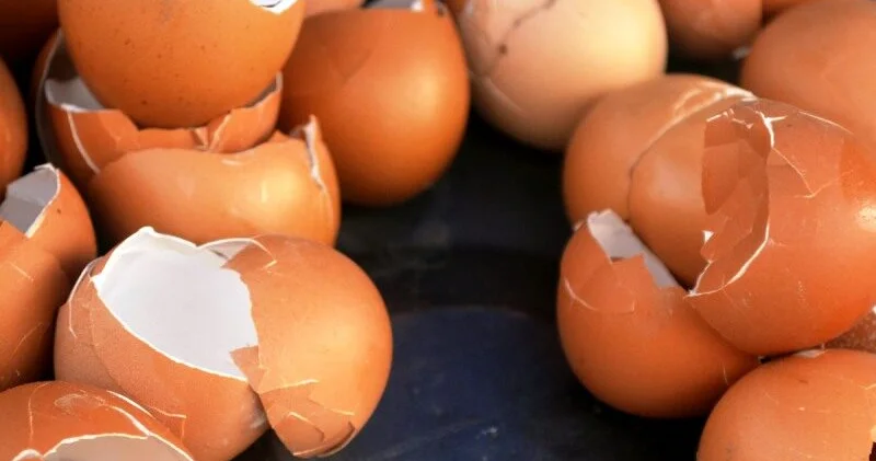 Ən çətin ləkələri yumurta qabıqları ilə çıxartmaq olar RESEPT