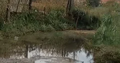 Sumqayıtda yağışlı günlərdə təkrarlanan problem: Kanal niyə daşır?