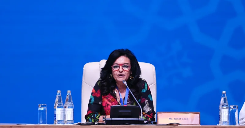 Nihal Saad: Müharibələr dialoqla həll olunmur