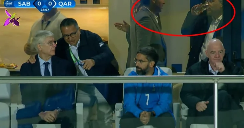 “Şou” haqda arqo