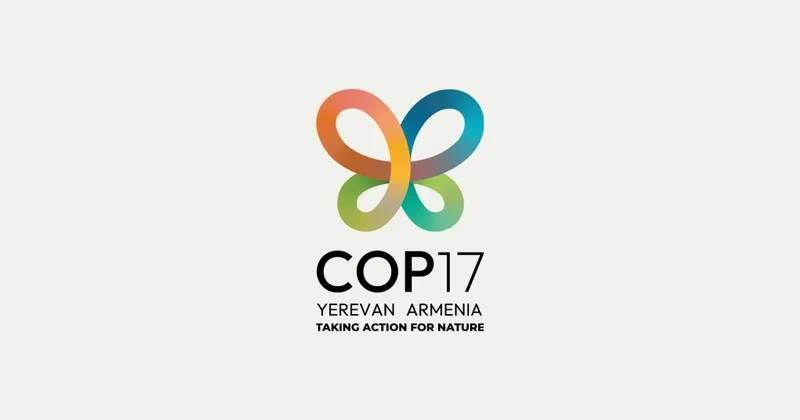 COP17 под тенью армянских рудников Al Jazeera об экологических проблемах Еревана