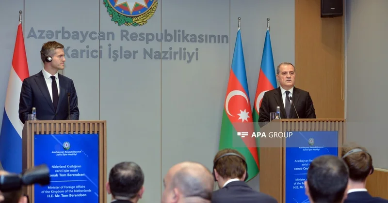 XİN rəhbəri: Son tədris ilində 250 azərbaycanlı tələbə Niderland universitetlərinə daxil olub