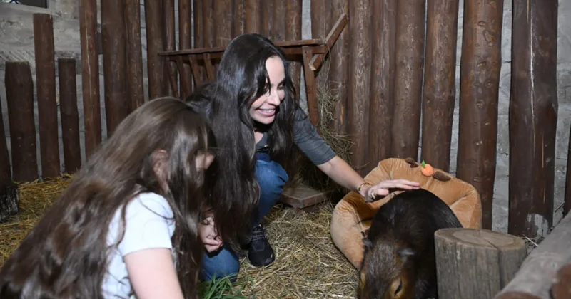 Лейла Алиева побывала на ферме Capybara Azerbaijan в Шамахы