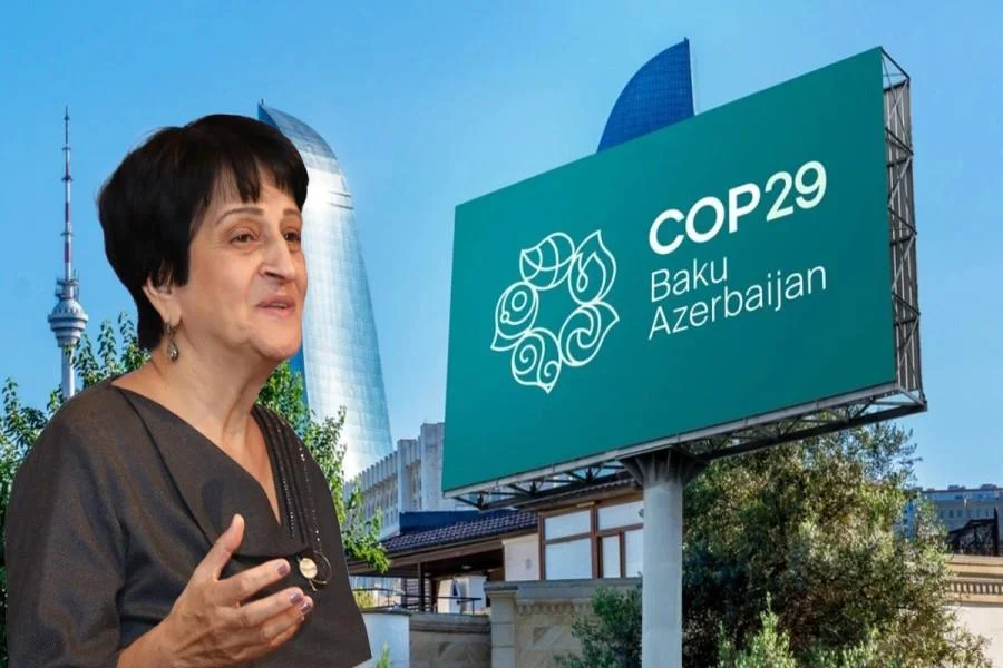 COP29 məqsədlərinə çatıb