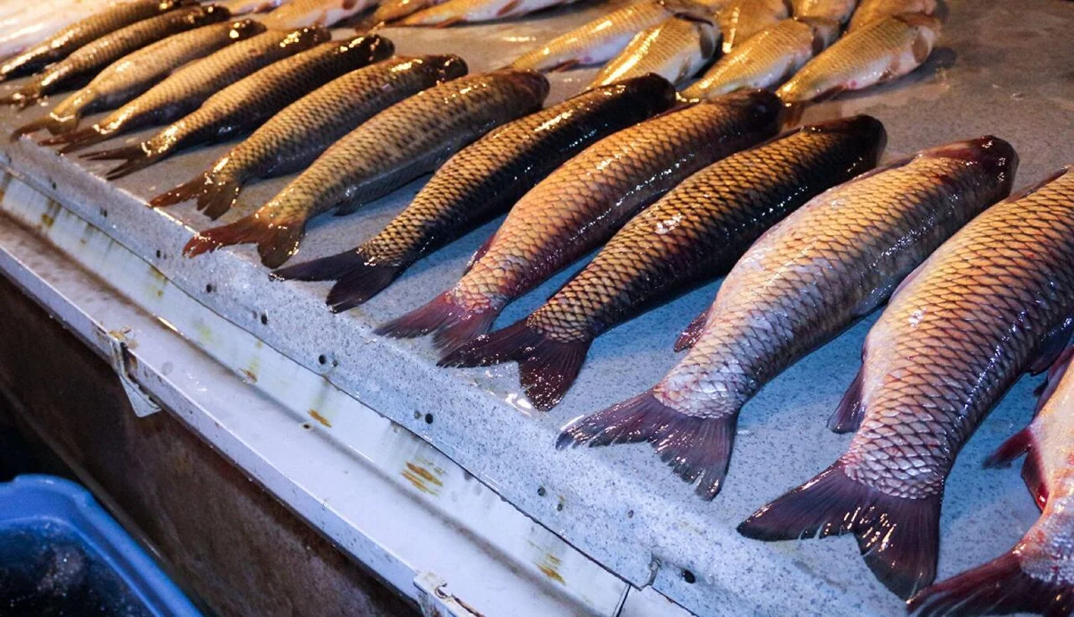 Bazarlarda bu məhsul kəskin ucuzlaşdı, alıcı yoxdur