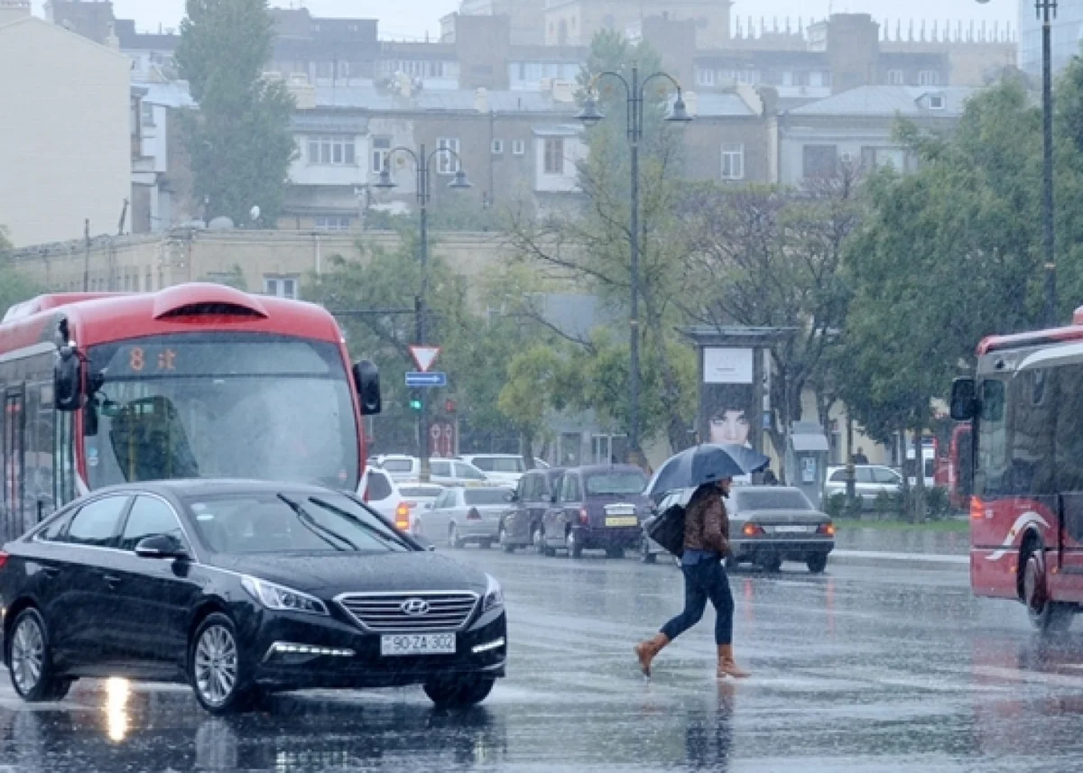 Sabah Bakıya leysanyağacaq PROQNOZ