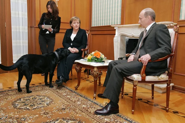 Putin bu vəziyyətdən həzz alırdı Merkel vahiməli görüşdən yazdı