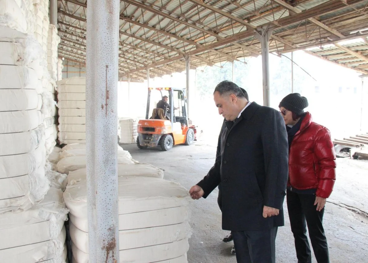 Goranboyun icra başçısı “GoranCotton” MMCnin pambıq qəbulu məntəqəsində FOTOLAR