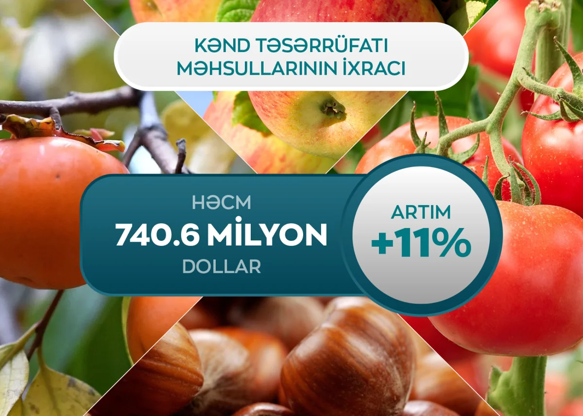 Kənd təsərrüfatı məhsullarının ixracında 11% artım qeydə alınıb