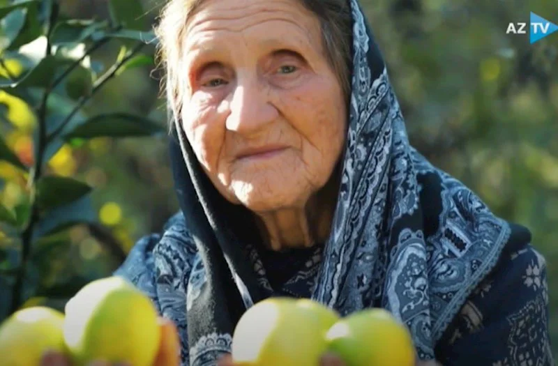 Göyçaylı nənədən maraqlı etiraf: Mənə metirka almadılar ki... FOTO (VİDEO)