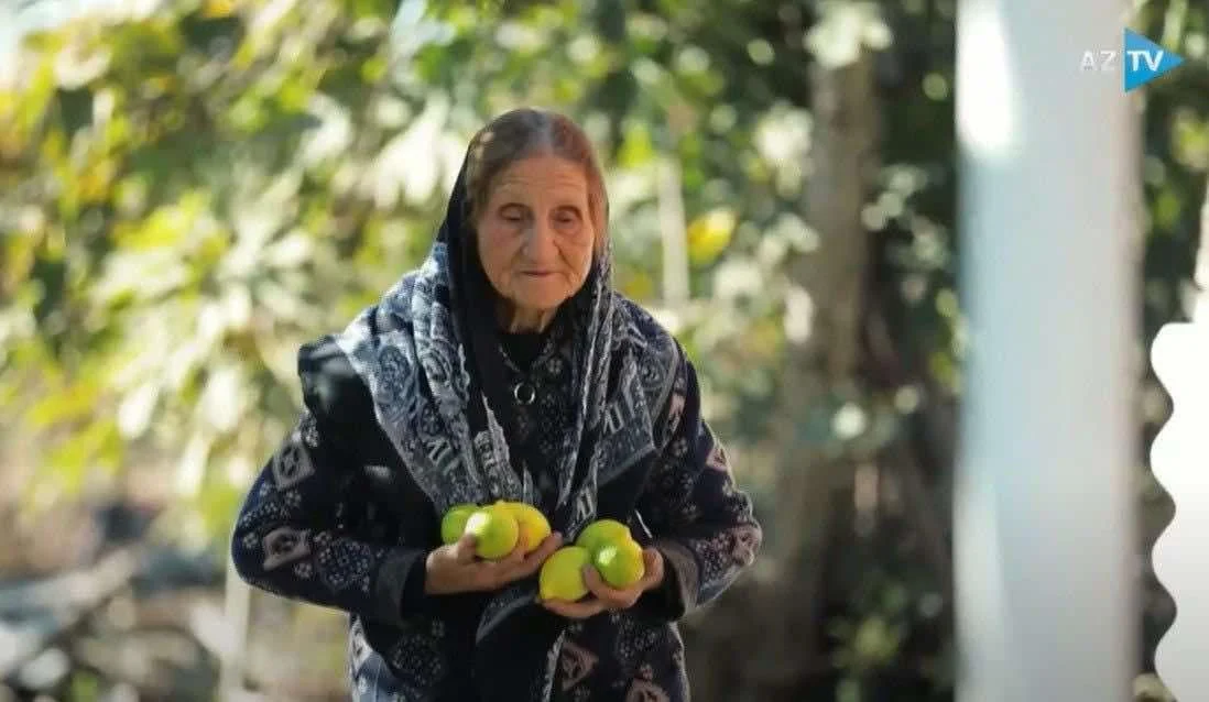 “Mənə “metirka” almadılar ki, öləcəm…” Göyçaydan olan nənə AzTVyə danışdı VİDEO