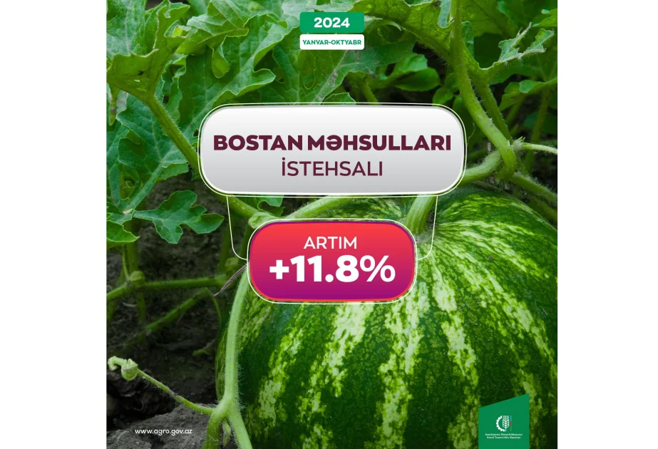 Azərbaycanda bostan məhsullarının istehsalı 11 faiz artıb AZƏRTAC