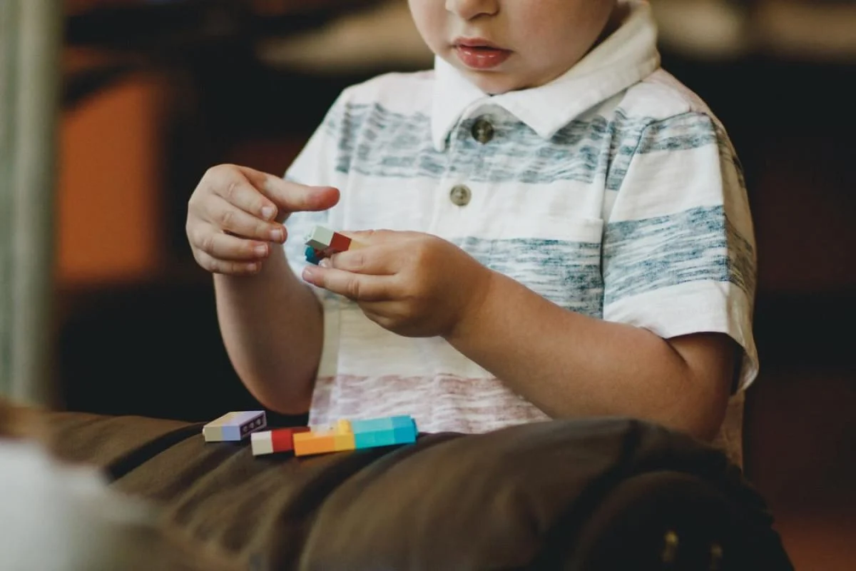 Autizm pozuntusunun erkən aşkarlanması üçün dövlət proqramının qəbulu təklif edilib