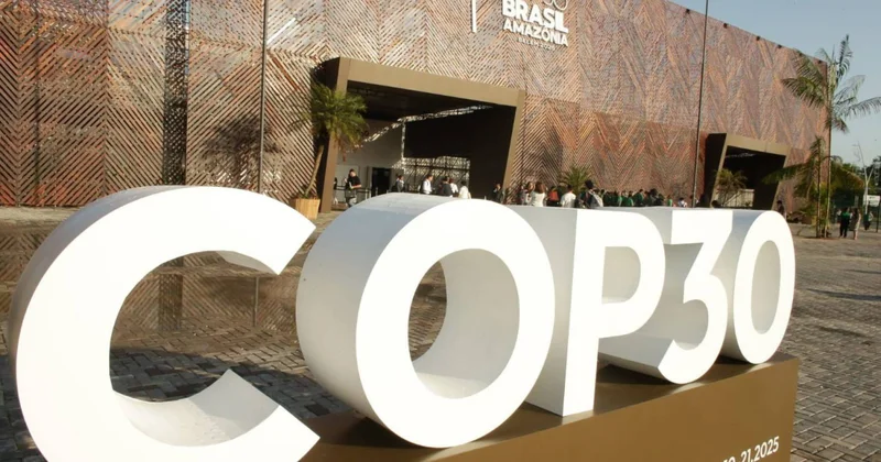 От COP29 к COP30: цели Азербайджана и ОЭСР в сфере образования
