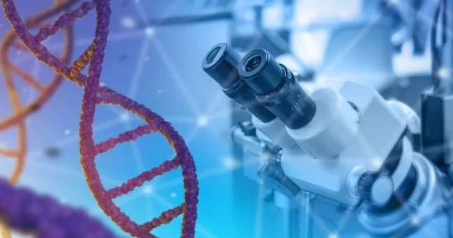 Ölüm riskini dəqiq şəkildə proqnozlaşdıra bilən KƏŞF