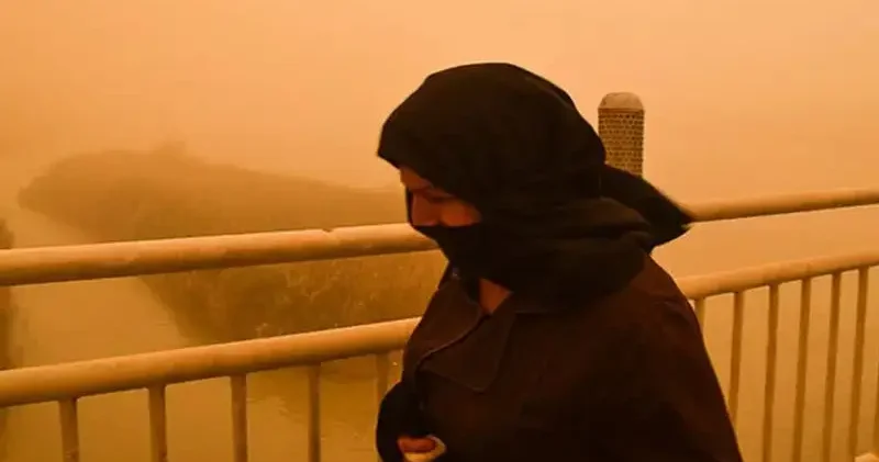 Hava çirkliliyinə görə dərslər distant formada keçirilir