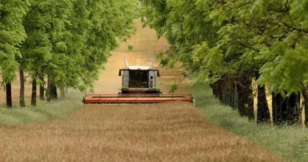 Зеленые гаранты устойчивости